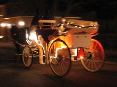 I felt sorry for the poor horse, but also for the humans who had to listen to`Jingle Bells` playing repeatedly.