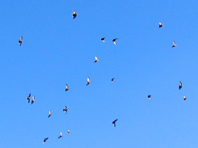 There is some disagreement about which way is south.