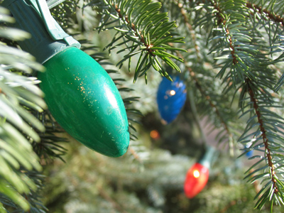 These bulbs are probably older than I am.