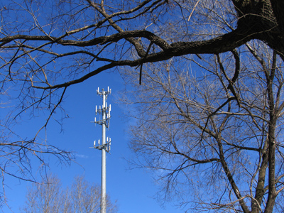 If you use a cell phone, this is your fault.