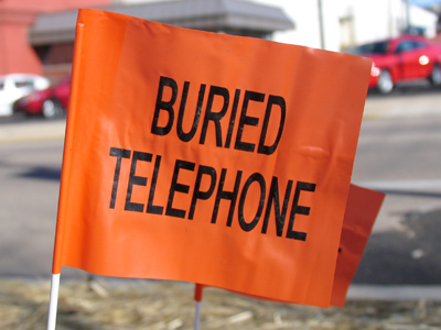 Today`s photos:  half price!