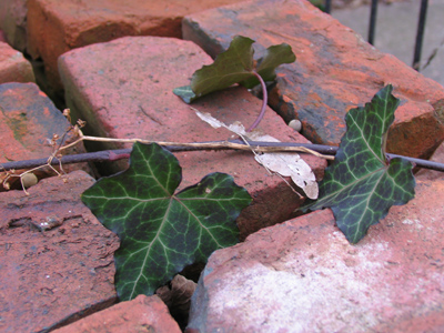 Always park between the yellow lines.