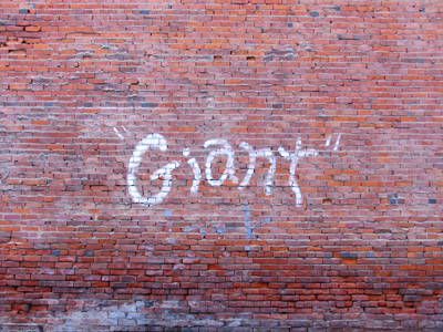 The automobile is just a passing fad.