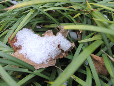 Photography is sometimes light work.