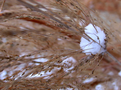 The long and winding road.