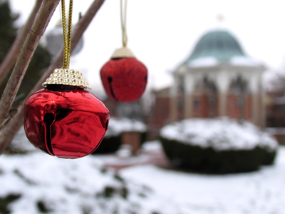 This is the last day I will have to struggle with a shot like this due to a defective zoom lens.