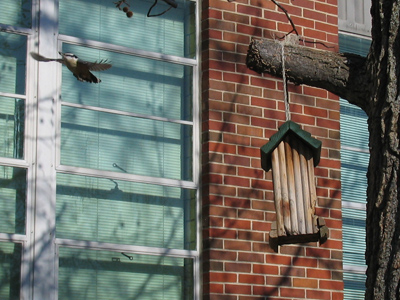 Still shooting out the windows with my new camera, but tomorrow I will take it out into the world.