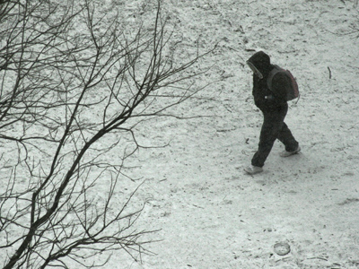 This is the second day in a row I`ve just shot pictures out the window.  Maybe tomorrow I`ll venture outside.