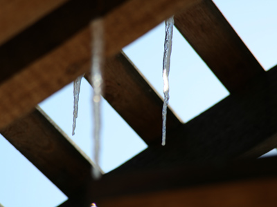 Spring must be coming.