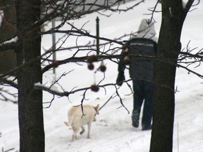 The weather`s not fit for man nor beast.