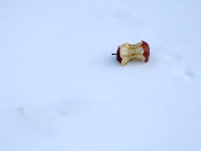 I`m frozen to the core.