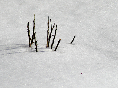 Let me know when you`re tired of snow pictures.