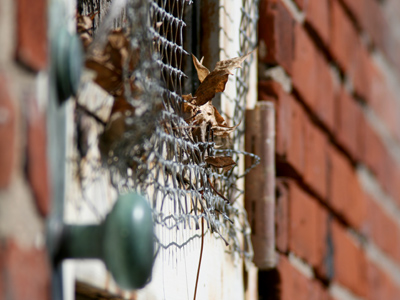 DOF:  Depth of Field.