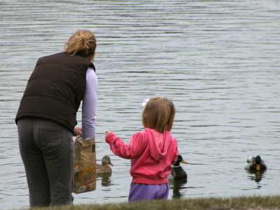 Suburban ducks insist upon toasted, multigrain crackers.