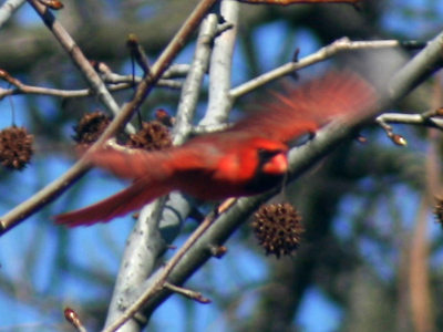 `Here I come to save the daaaayyy!`