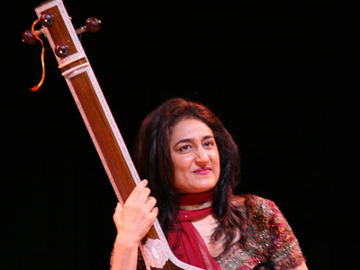 Tanpura: a long-necked string instrument, plucked like a guitar or lute, that produces a characteristic drone.