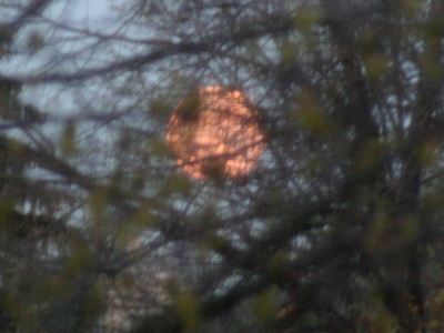 `Well shone, Moon.`  (A Midsummer Night`s Dream Act V, Scene 1) WILLIAM SHAKESPEARE