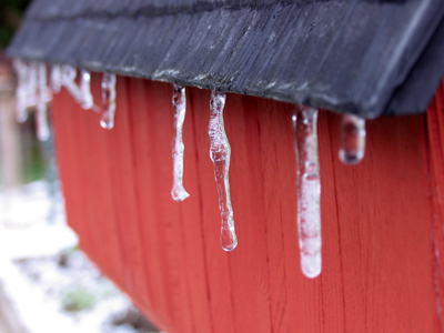 Where do bees spend their time on such cold days?
