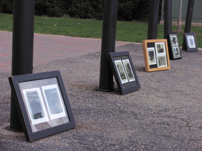 Five pictures a day.