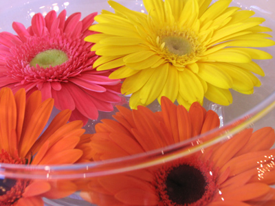 Very pretty:  it would be a shame to throw them away . . . 