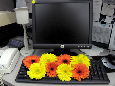  . . . so why not recycle them?