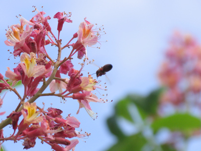 A pleasant Friday evening.