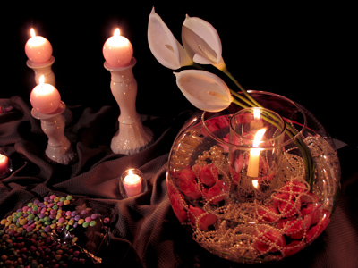 It was another good day for photographing flowers, but I thought I`d try to find my daily beauty elsewhere.