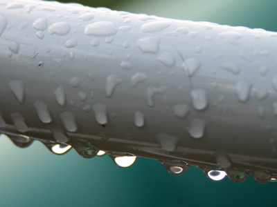 The morning after a heavy thunderstorm.