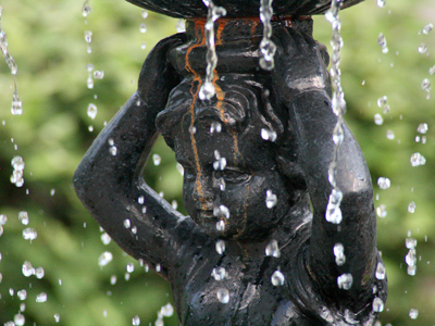 Teardrops in the rain.