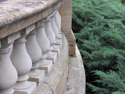 Chubby little things, aren`t they?