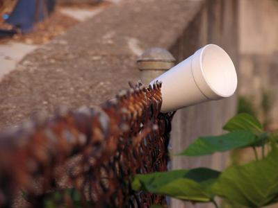 I got up a half hour early to take pictures -- of THIS?