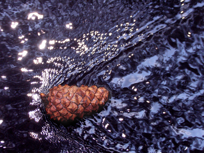 Sparks fly as the first interplanetary pine cone re-enters Earth`s atmosphere.