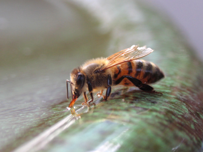 Don`t get too close to the edge, you might . . . 