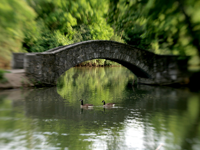 I set my camera bag on the ground to take this shot.  Later as I was carrying it, a large spider crawled out.