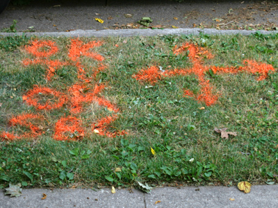 This appeared in front of my house.  Can jackhammers be far behind?