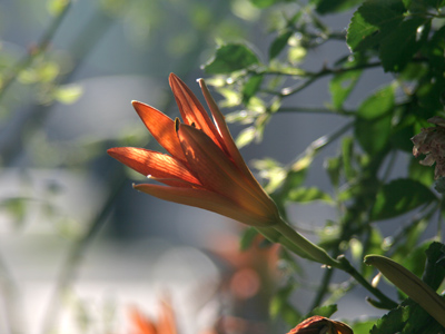 It`s a good day, since all five of my photos were taken by 8:21am.