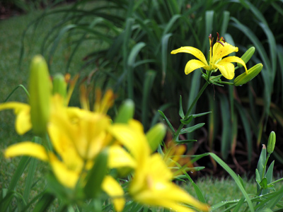 For me, this is a `landscape` photo.  At the Grand Canyon, I`d probably take pictures of little rocks on the ground.