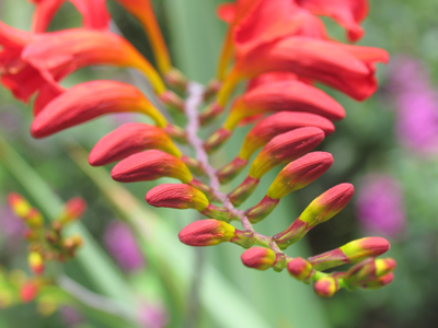 Growth is everywhere.