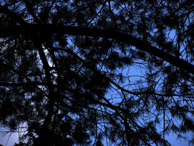 Out of the clear blue sky.