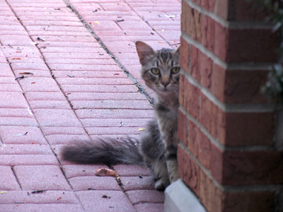 Second thing in the morning.