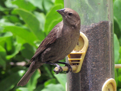 It was my lunchtime too.