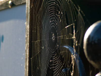 Attached to a FOR SALE sign, this web is a real fixer-upper, a handyman`s dream.