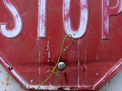 You can`t stop nature.