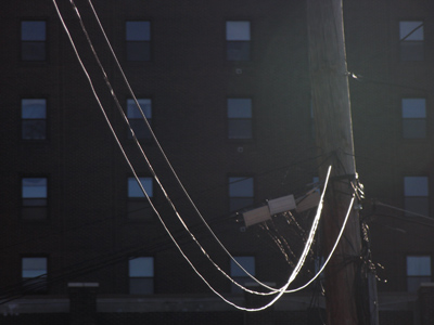 Wire you taking a picture of wire?