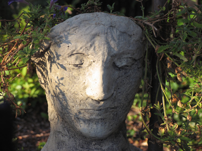 A face in the crowd.