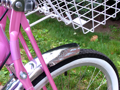 You`re just jealous because my bike has a basket.
