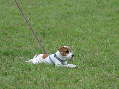 True freedom is to have power over oneself for everything. MICHEL DE MONTAIGNE