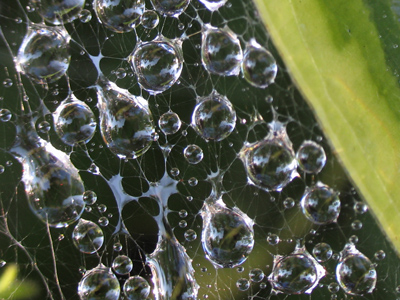 I hope Charlotte had flood insurance.