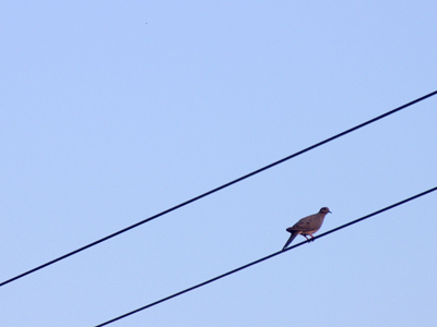 Rest assured that if there WAS a better picture, you`d be seeing it instead.