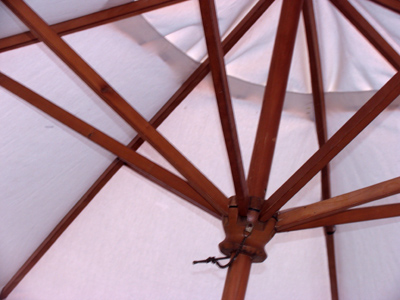 We were as happy as could be, under the spreading umbrella tree.